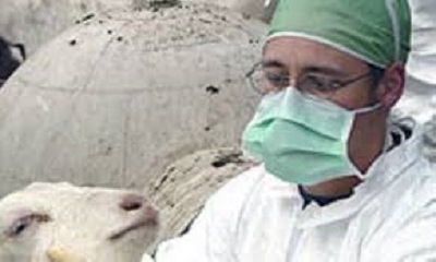 ابتلای ۲۸ نفر در ایلام به “تب مالت”