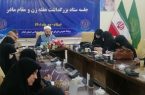 ستاد بزرگداشت هفته زن و مقام مادر در ایلام تشکیل شد