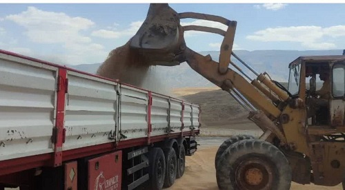 فعال‌سازی شرکت تعاونی حمل‌ونقل نوید بار کشاورزی در ایلام