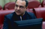 ۱۰۳۹ تن نهاده دامی بین عشایر استان ایلام توزیع شد