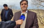 کاشت و تولید ۲۴ میلیون اصله نهال در استان ایلام