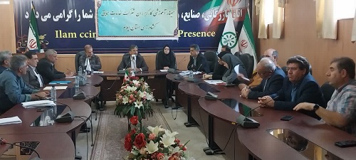 ۳۸محصول زراعی و باغی عمده ایلام در قالب طرح الگوی کشت قرار گرفت