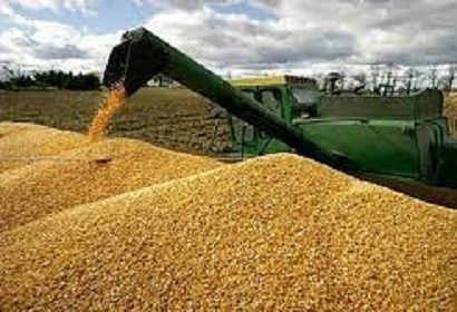 واریز بیش از ۳۱ هزار میلیارد ریال بهای گندم به حساب کشاورزان استان ایلام