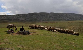 ۲۹۲ جلد دفترچه دامی توسط دامپزشکی ایلام صادر شد