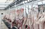 ۴۷۰۰ کیلوگرم گوشت قرمز بین مددجویان ایلام توزیع شد
