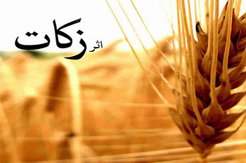 مدیرکل کمیته امداد: مردم استان ایلام ۷ میلیارد تومان زکات پرداخت کردند