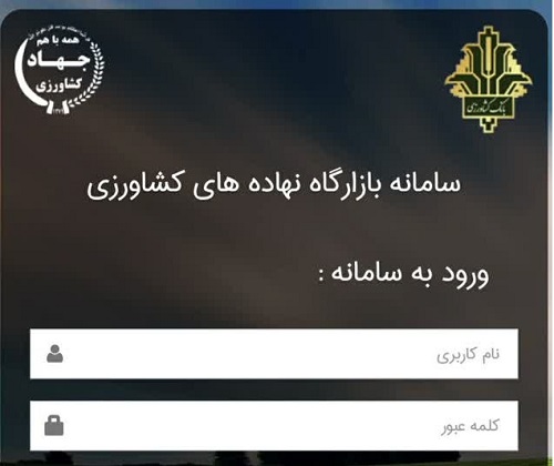 عرضه محصول ذرت دانه‌ای تولید کنندگان در سامانه بازارگاه فراهم شد