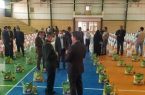۳۰ هزار سبد معیشتی بین نیازمندان ایلام توزیع شد