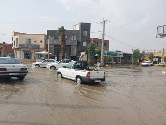 بارش باران به بیش از سه هزار هکتار از مزارع گندم خسارت وارد کرد