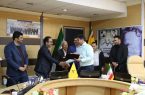 ۱۹ نفر از کارکنان جانباز و فرزندان معظم شاهد شرکت گاز ایلام تجلیل شدند