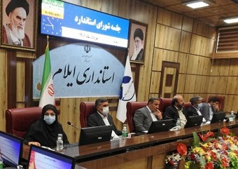 ۶۶ زمین بازی متعلق به شهرداریهای ایلام استانداردسازی نیست
