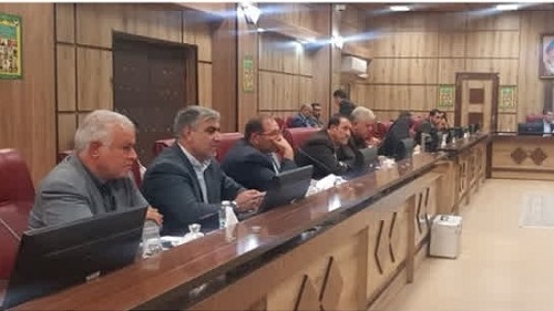 ۶۵۰۰ تن محصول کلزا به کارخانجات تولید روغن کشی حمل شد