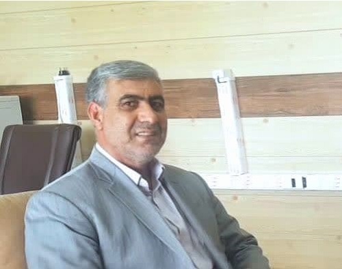 تولید بیش از ۱۰۰ هزار تن ذرت علوفه ای در استان ایلام