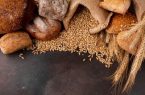  آغاز کاشت غلات پاییزه در سطح ۹۵۰۰هکتار از اراضی آبی و دیم مهران