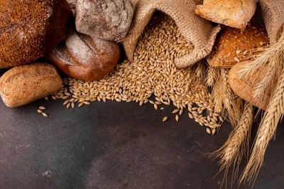  آغاز کاشت غلات پاییزه در سطح ۹۵۰۰هکتار از اراضی آبی و دیم مهران
