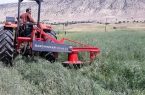 اختصاص ۱۶۳ هکتار از اراضی ایلام به کشت محصولات دیم