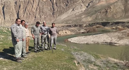 انجام سرشماری زمستانه پرندگان آبزی و کنار آبزی در سایت رودخانه چرداول