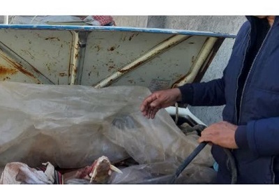 دستگیری متخلفان شکار غیر مجاز ۲راس گراز وحشی در هلیلان