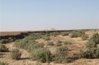 نقش کلیدی مراتع و بیابان‌ها در سرمایه‌گذاری پایدار و تولید اقتصادی