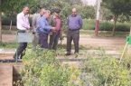 گردهمایی مدیران کل منابع طبیعی و آبخیزداری منطقه دو کشور (حوزه زاگرس) در ایلام