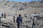 پویش مردمی بذرکاری در شهرستان ملکشاهی اجرا شد