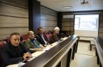 تولید ۱۲ میلیون اصله نهال با تکمیل دو نهالستان مهران و دهلران