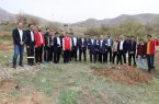 غرس ۳۰۰ نهال درخت به مناسبت روز درختکاری در پالایشگاه گاز ایلام