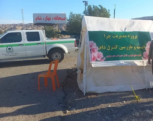 اجرای طرح مدیریت چرا در مبادی ورودی شهرستان دهلران