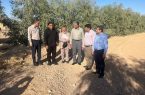 اهمیت اجرای پروژه‌های بیابان‌زدایی در شهرستان دهلران