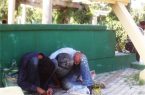 دورهمی هایی که بوی مرگ می دهند!