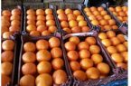 آغاز توزیع میوه نوروزی تنظیم بازار در ایلام