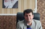 سه هزار و ۹۲ پروانه کسب کشاورزی در استان ایلام صادر شد