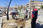 کاشت نهال مثمر به مناسبت هفته درختکاری در شهر جعفرآباد  