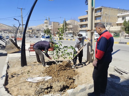 کاشت نهال مثمر به مناسبت هفته درختکاری در شهر جعفرآباد  