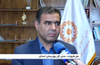 حمایت بهزیستی از ۷ هزار زن سرپرست خانوار در ایلام