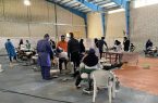 ۱۸۰ مددجوی بهزیستی سیروان ویزیت رایگان دندانپزشکی شدند