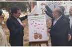 رونمایی از پوستر هفتمین دوره تئاتر ملی خیابانی شرهانی