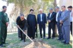 ۲۰۰ اصله نهال مثمر در شهرستان چوار کاشت شد