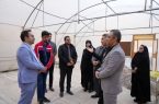  بخشودگی ۱۴ میلیارد ریالی گازبها خانواده های تحت پوشش نهادهای حمایتی در ایلام