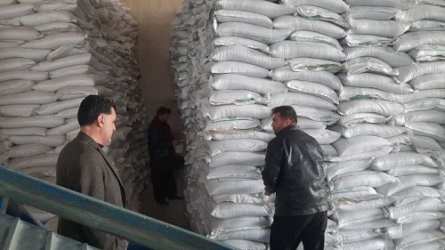 افزایش چشمگیر توزیع کود اوره در شهرستان هلیلان