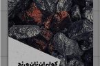 “کولبران نان و رنج” به نمایشگاه بین‌المللی کتاب می‌رود