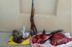 دستگیری شکارچی غیر مجاز گراز وحشی در شهرستان ملکشاهی